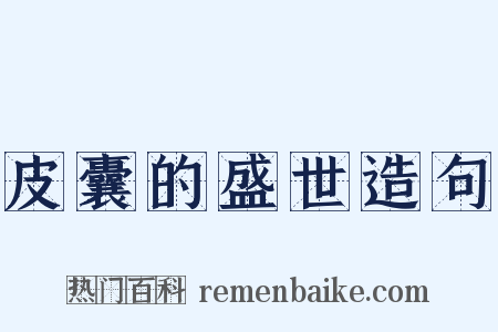 皮囊的盛世造句是什么意思的图片